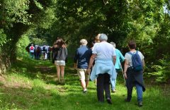 La « Marche des aidants  » dans le Tarn