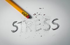 conférence atelier «Ma boite à outil anti-stress»