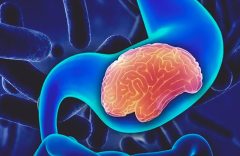 Conférence « L’intestin : notre deuxième cerveau »